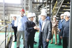 柴天助率领团队一举中标项台100MW发电机组集散节